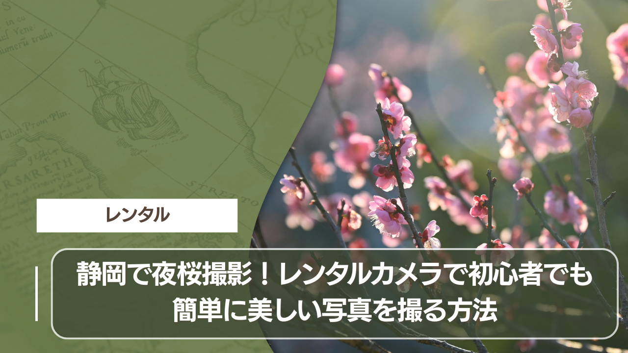 静岡で夜桜撮影！レンタルカメラで初心者でも簡単に美しい写真を撮る方法